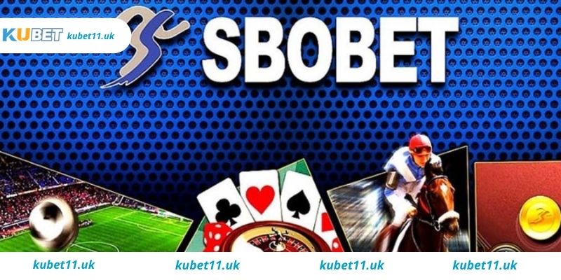 Vì sao lại lựa chọn sbobet Kubet8