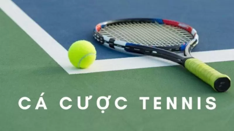 Cá cược quần vợt kubet là gì?